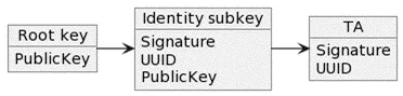 adding an identity subkey